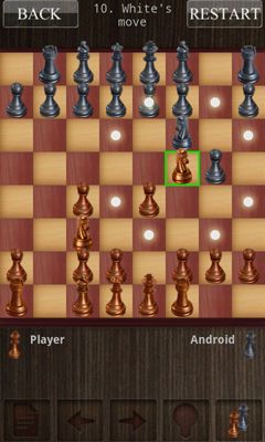 Chess Chess screenshot 4