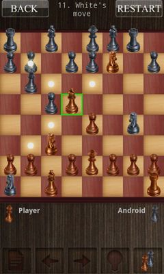 Chess Chess screenshot 5