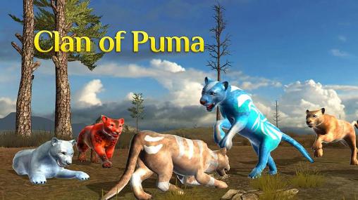 Clan of puma poster