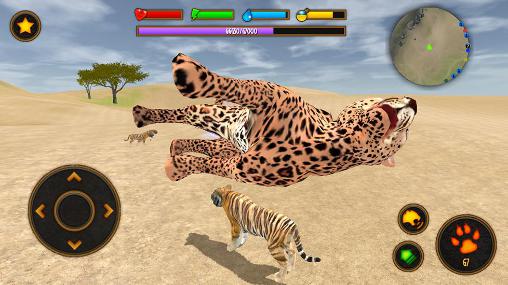 Clan of tigers screenshot 3