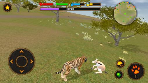 Clan of tigers screenshot 4
