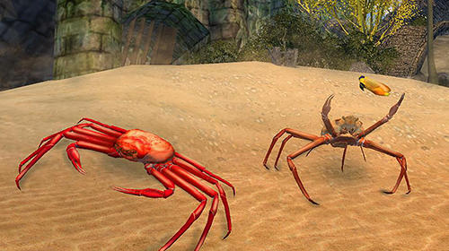Crab simulator 3D screenshot 2