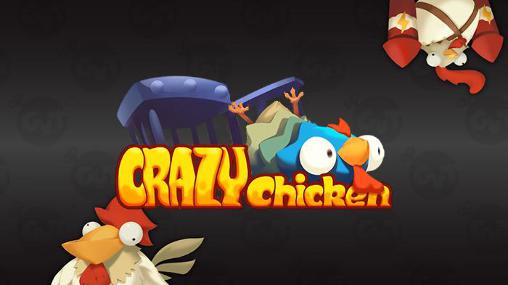 Crazy chicken poster
