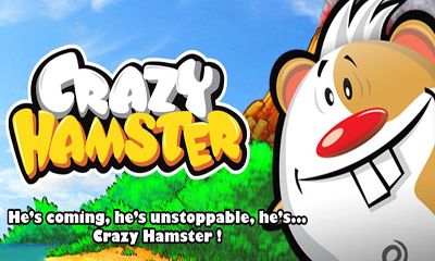 Crazy Hamster poster