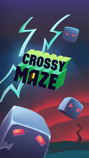 Crossy maze poster