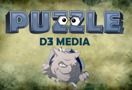 D3 Puzzle poster