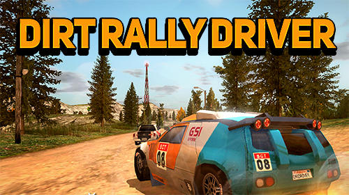 Dirt rally driver HD poster