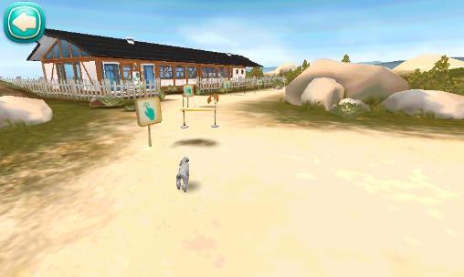 Dog hotel: My boarding kennel screenshot 4