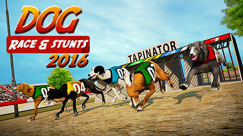 Dog race and stunts 2016 poster