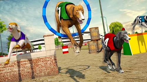 Dog race and stunts 2016 screenshot 3