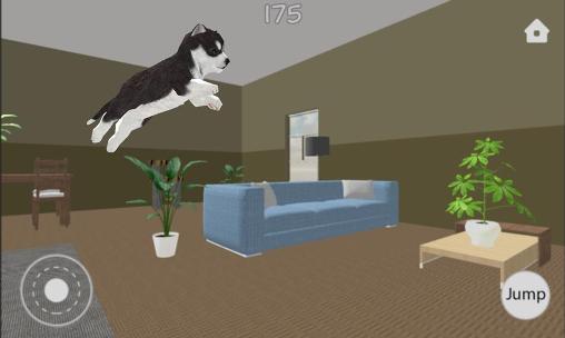 my dog simulator