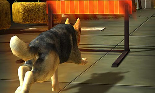Dog simulator 3D screenshot 2