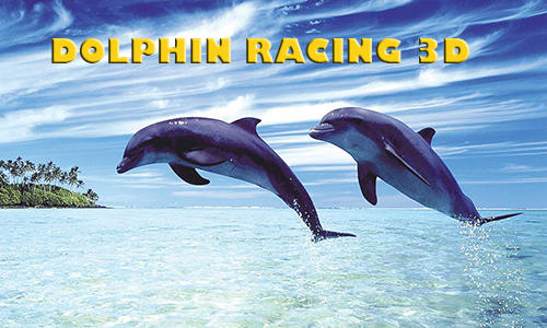 Dolphin racing 3D poster