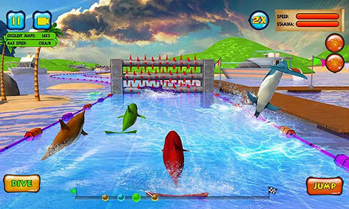 Free Dolphin Game