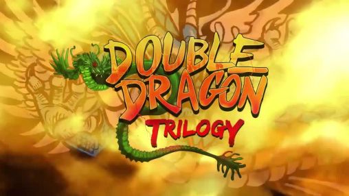 Double dragon: Trilogy poster
