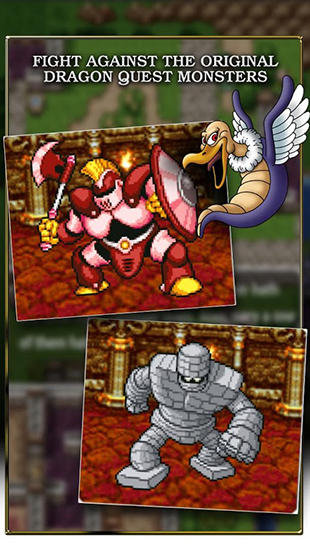Dragon quest screenshot 1