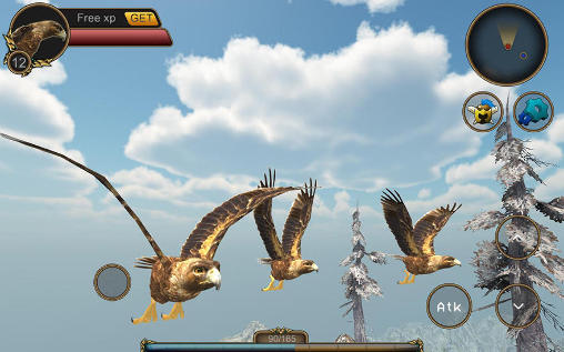 Eagle bird simulator screenshot 3