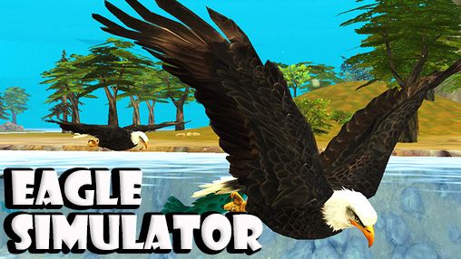 Eagle simulator poster