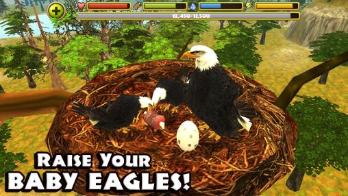 Eagle simulator screenshot 1