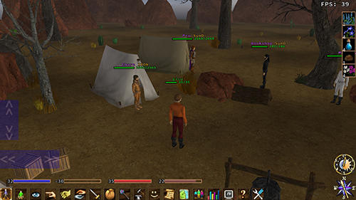Eternal lands screenshot 1