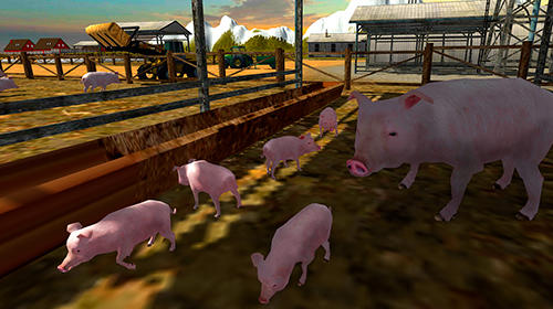 Euro farm simulator: Pigs screenshot 2