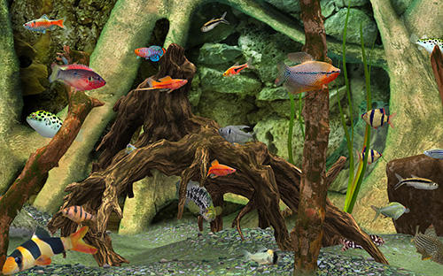 Fish farm 3: 3D aquarium simulator screenshot 3
