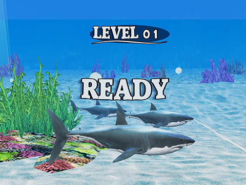 Fish race screenshot 5