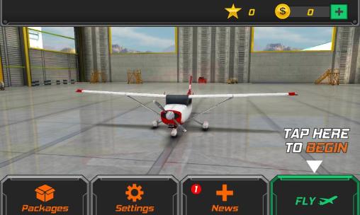 Flight pilot: Simulator 3D screenshot 1