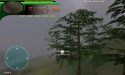 Fly Like a Bird 3 screenshot 1