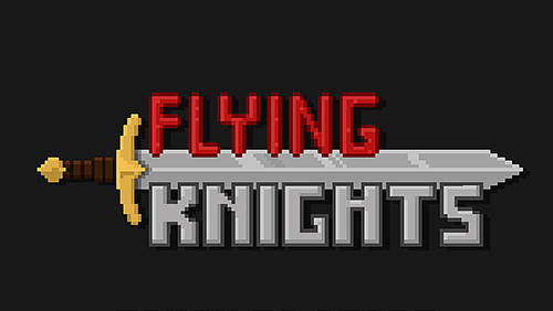 Flying knights poster