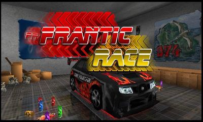 Frantic Race poster