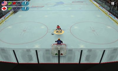 Hockey Nations 2010 screenshot 4