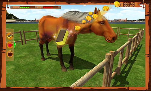 Horse show jumping challenge screenshot 1