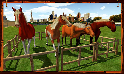 Horse show jumping challenge screenshot 3