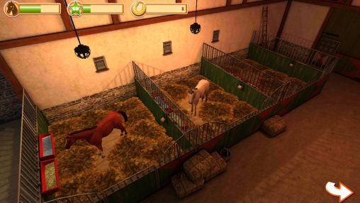 Horse world 3D: My riding horse screenshot 2