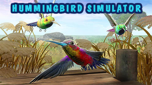 Hummingbird simulator 3D poster