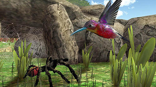 Hummingbird simulator 3D screenshot 1