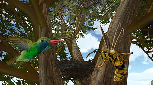 Hummingbird simulator 3D screenshot 2
