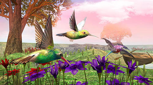 Hummingbird simulator 3D screenshot 3