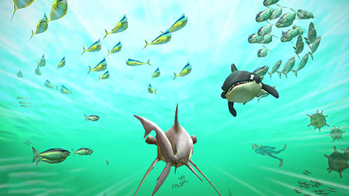 Hungry shark VR screenshot 3