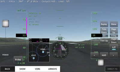 Infinite Flight screenshot 3