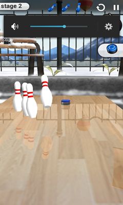 iShuffle Bowling 2 screenshot 2