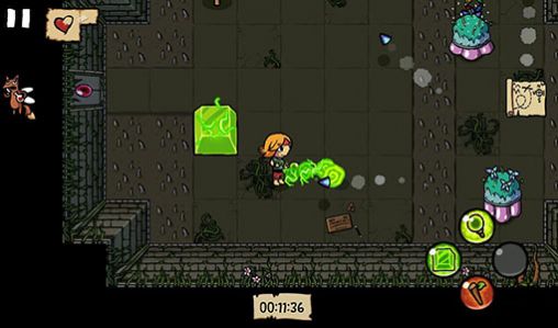 Ittle Dew screenshot 4