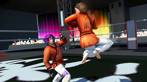 Karate fighting tiger 3D 2 screenshot 2