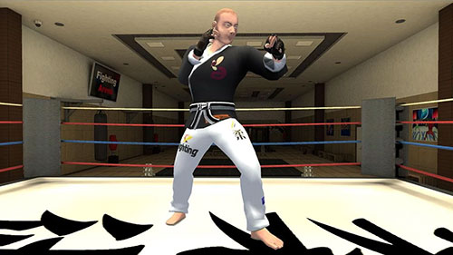 Karate fighting tiger 3D 2 screenshot 4