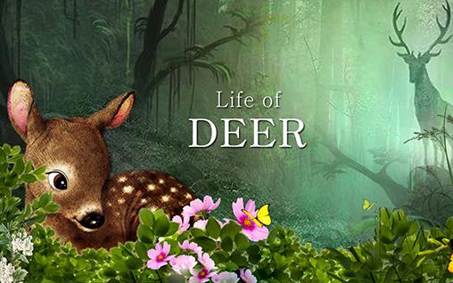Life of deer poster