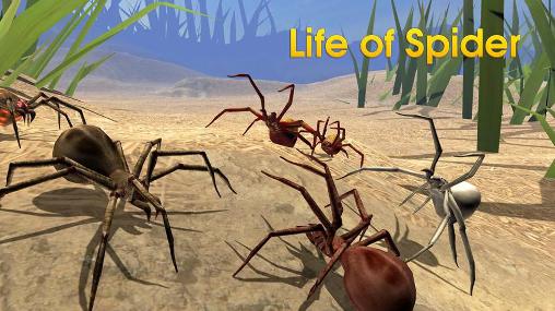 Life of spider poster