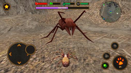 Life of spider screenshot 3