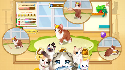 Line cat cafe screenshot 3