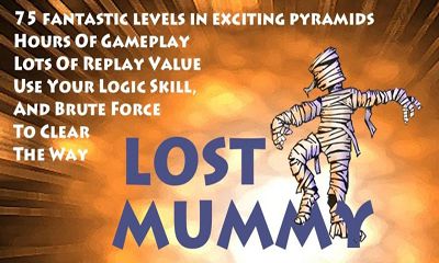 Lost Mummy poster